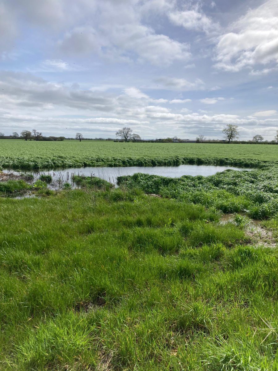 Can’t beat shit this all it’s had ready to go just need dry weather to dry out to get on