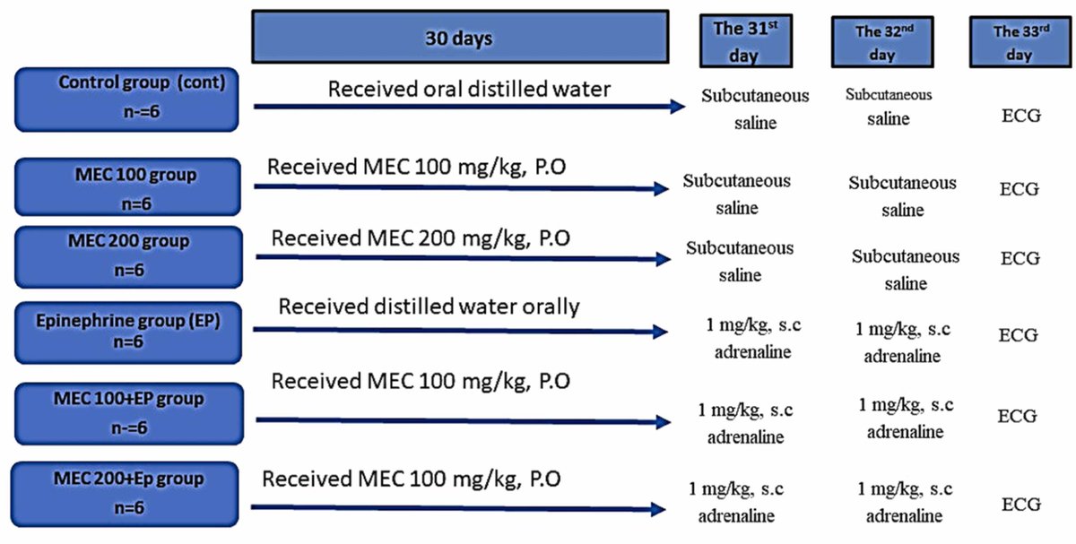 Methanolic extract of Cleome droserifolia (MEC),  rich in phenolic and flavonoid contents, mitigates epinephrine-induced cardiac injury in rats: authors.elsevier.com/a/1ir87AUp3caC…. Free access until 18/May/24. #cardioprotection #Cleomedroserifolia #PharmacolRes #NaturalProducts #Research
