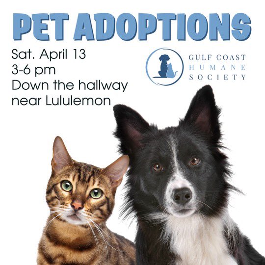 Pet Adoptions at La Palmera tomorrow! Our friends from the @gchscc1945 are bringing their precious animals in need of a furever home. Come see if one of them claims you as theirs! 💕🐶 They will be located between Lululemon and Oakley on Saturday from 3pm-6pm.
