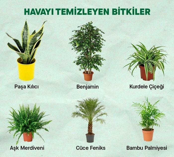 dunyadantip's tweet photo. Duymayan kalmasın https://t.co/ZQAbu9swAK