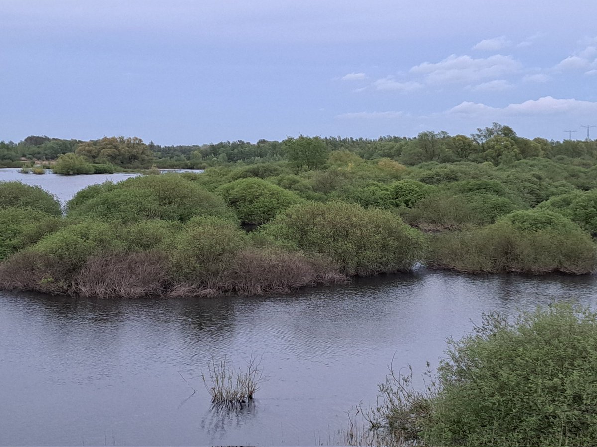 Avondrondje Kil van Hurwenen.. prachtig moerasbos! #natura2000