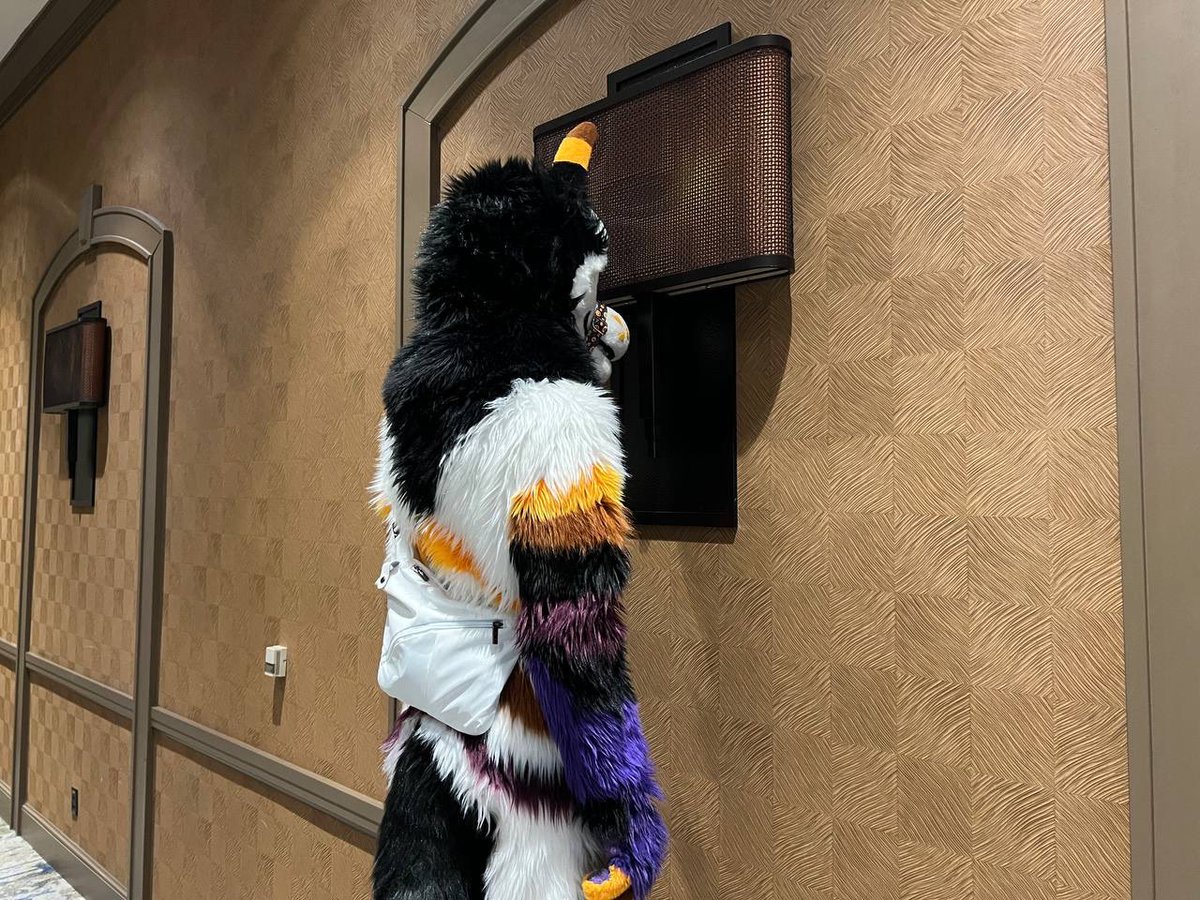 Obligated to post for #fursuitfriday