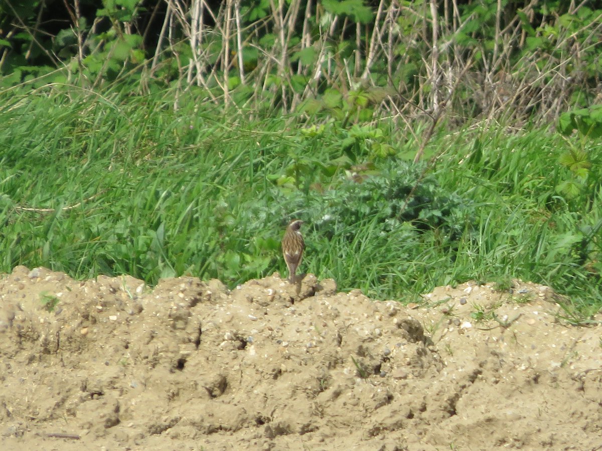 Lee Evans (LGRE) - the official account tweet media