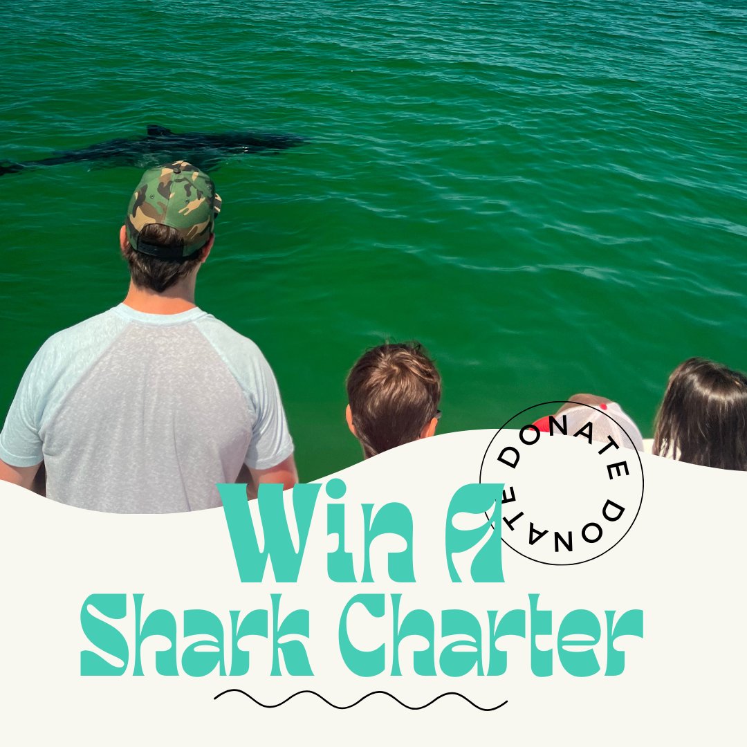 Enter our opportunity drawing to win a private white shark charter! If you are the lucky winner, you & your group will be guided by a spotter pilot & accompanied by a naturalist from AWSC’s education team as you see white sharks in their natural habitat. weblink.donorperfect.com/shark_trip_2024