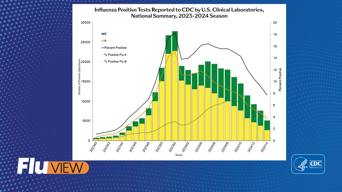 This week’s #FluView shows flu activity remains elevated but continues to decrease nationally. The percentage of respiratory samples testing positive for #flu in clinical labs is almost 8%. Full #FluView report: bit.ly/3ZVOyJp