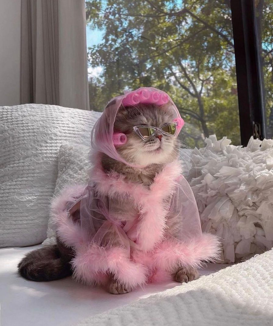 Now that I’m done working, I shall return to my natural state ✨