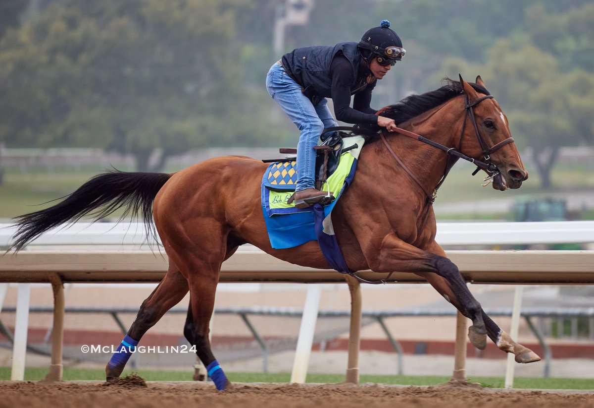 National Treasure under jockey Erick Garcia 4F in 49.40 this morning for HoF trainer Bob Baffert @santaanitapark @StarlightRacing @MadaketStables @BobBaffert @Ersick05