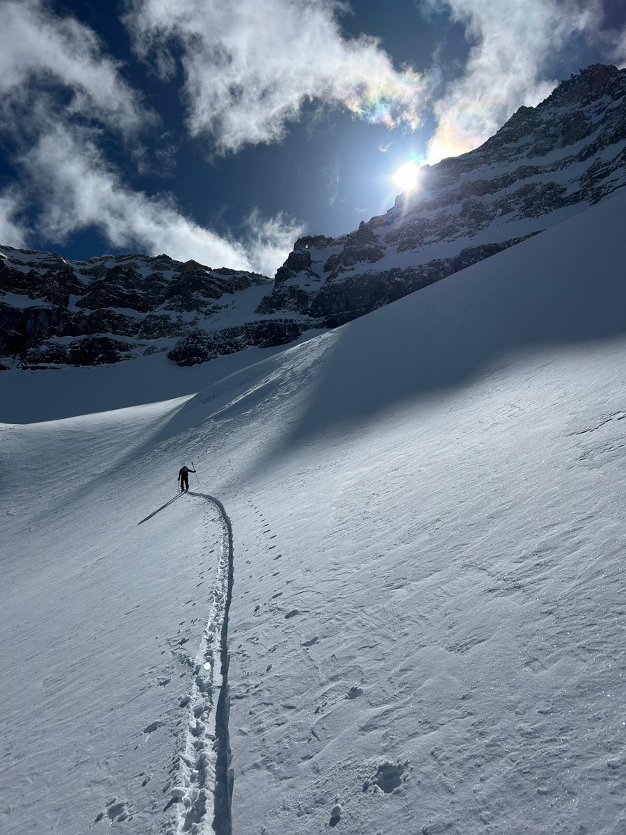 BanffNP tweet picture