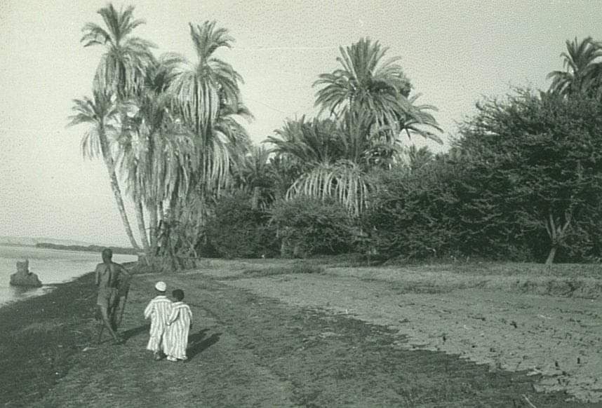 A farmer and his children in their farming field, on the eastern bank of the Nubian Nile, Qustul village, Nubia. #OldNubia #Nubia #Egypt #Sudan