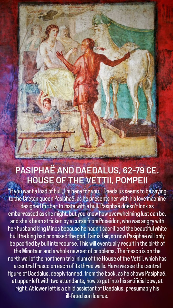 For #FrescoFriday, we're addressing the problem of a queen mating with a bull, in the #HouseoftheVettii in #Pompeii. It must have been a logistical nightmare for #Daedalus, not to mention an awkward conversation with the king later. Honestly, mythological #sex is such a hassle.