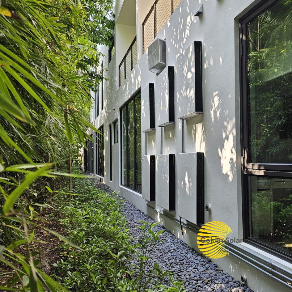 Goldin Solar tweet media