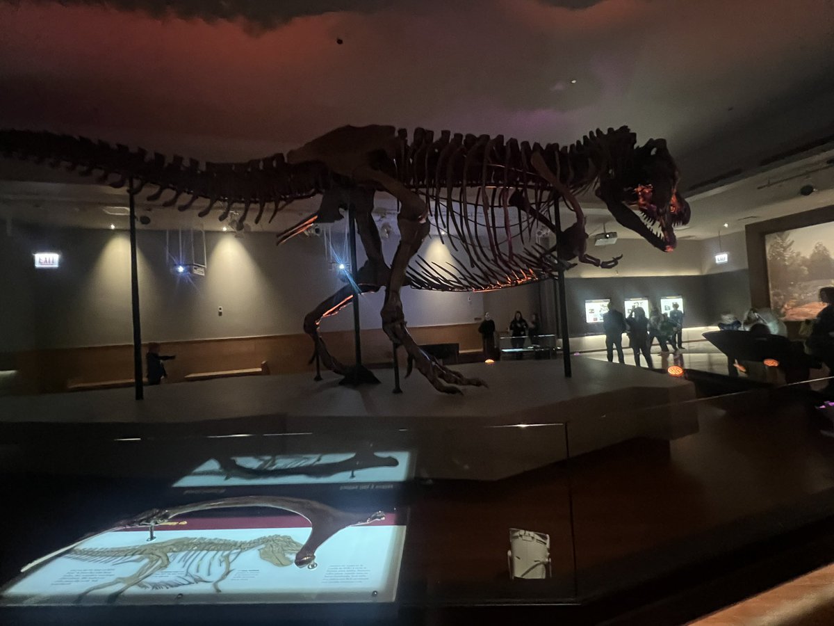 Mr. Rodriguez tweet media