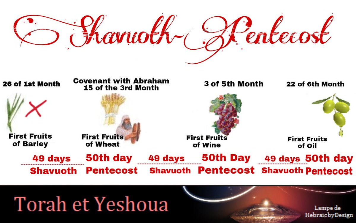 ☀️ According to the Calendar found at Qumran 
🌾 Sunday April 14, 2024
First Fruits of the Barley - Day of the Omer

Beginning of the countdown of the 7 Weeks to Shavuoth-Pentecost (50th Day)