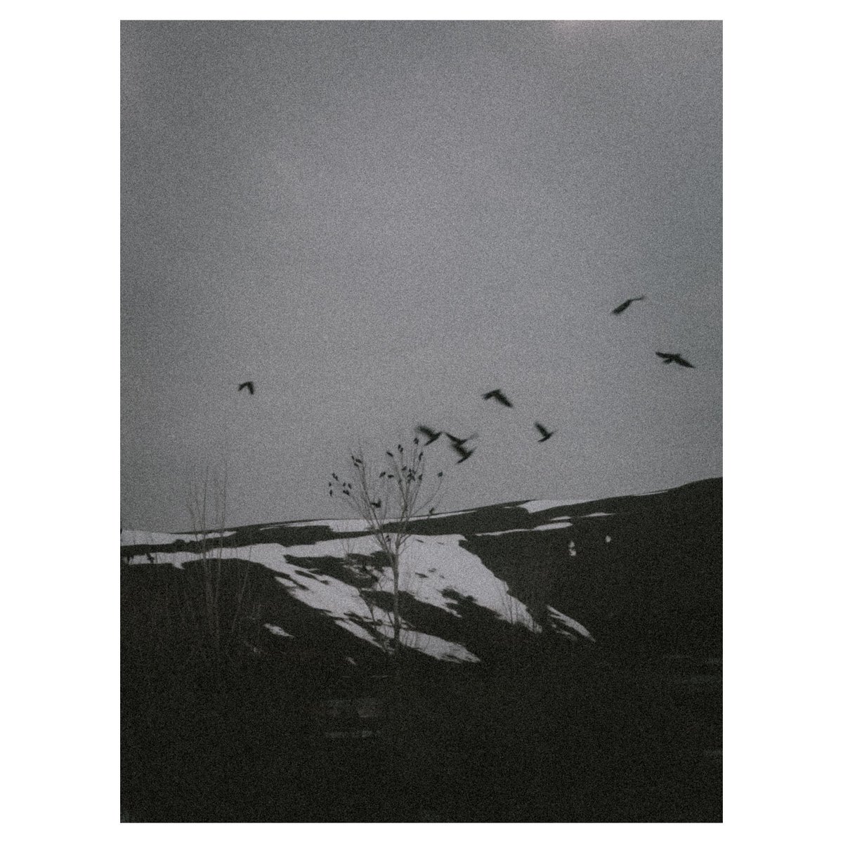 bir ömür geride bıraktım / bir saniyede / kendime ağlıyorum.