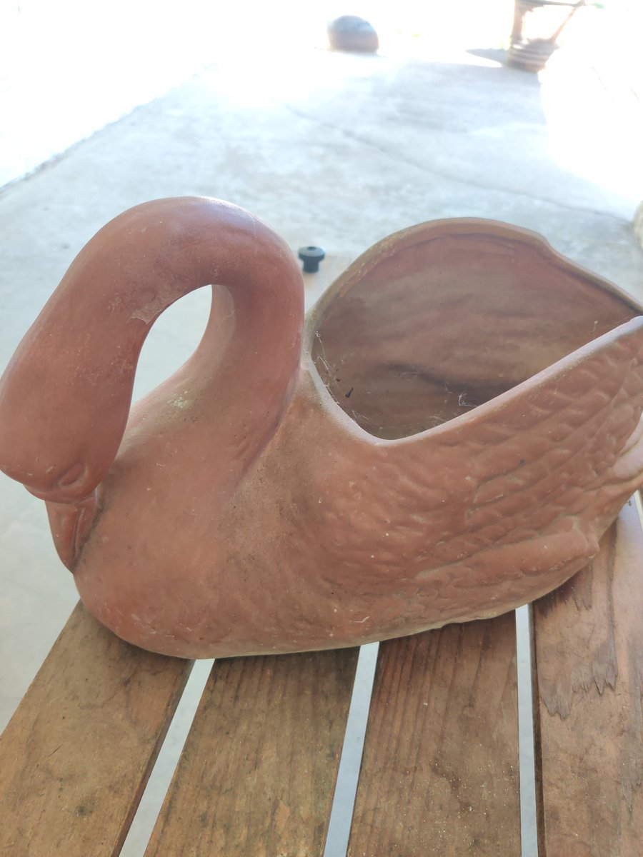 Look at this gorgeous terra cotta swan planter. Just a thing of beauty.