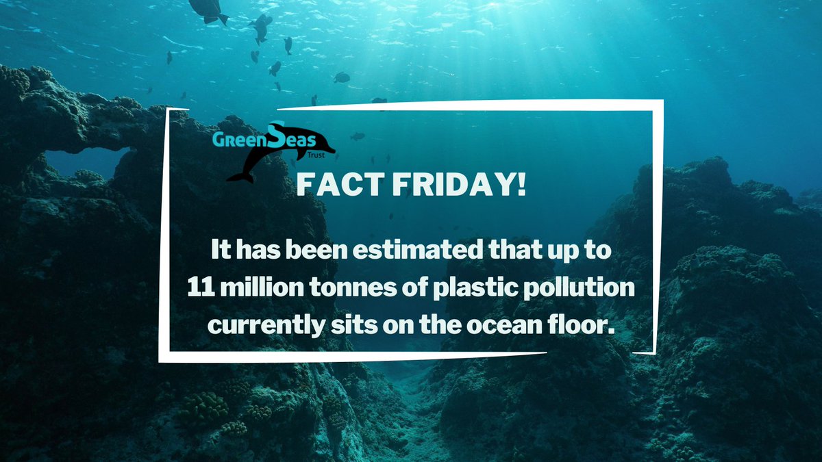 A recent study believes the ocean floor has become a reservoir for marine plastic pollution, estimating that 3 to 11 million tonnes of plastic resided there as of 2020.

Find out how you can reduce your plastic use at greenseas.org

#GreenSeasTrust #PlasticPollution