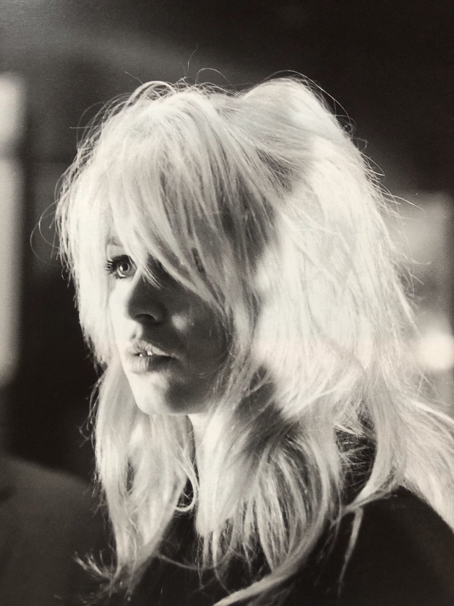 portrait Brigitte Bardot BB