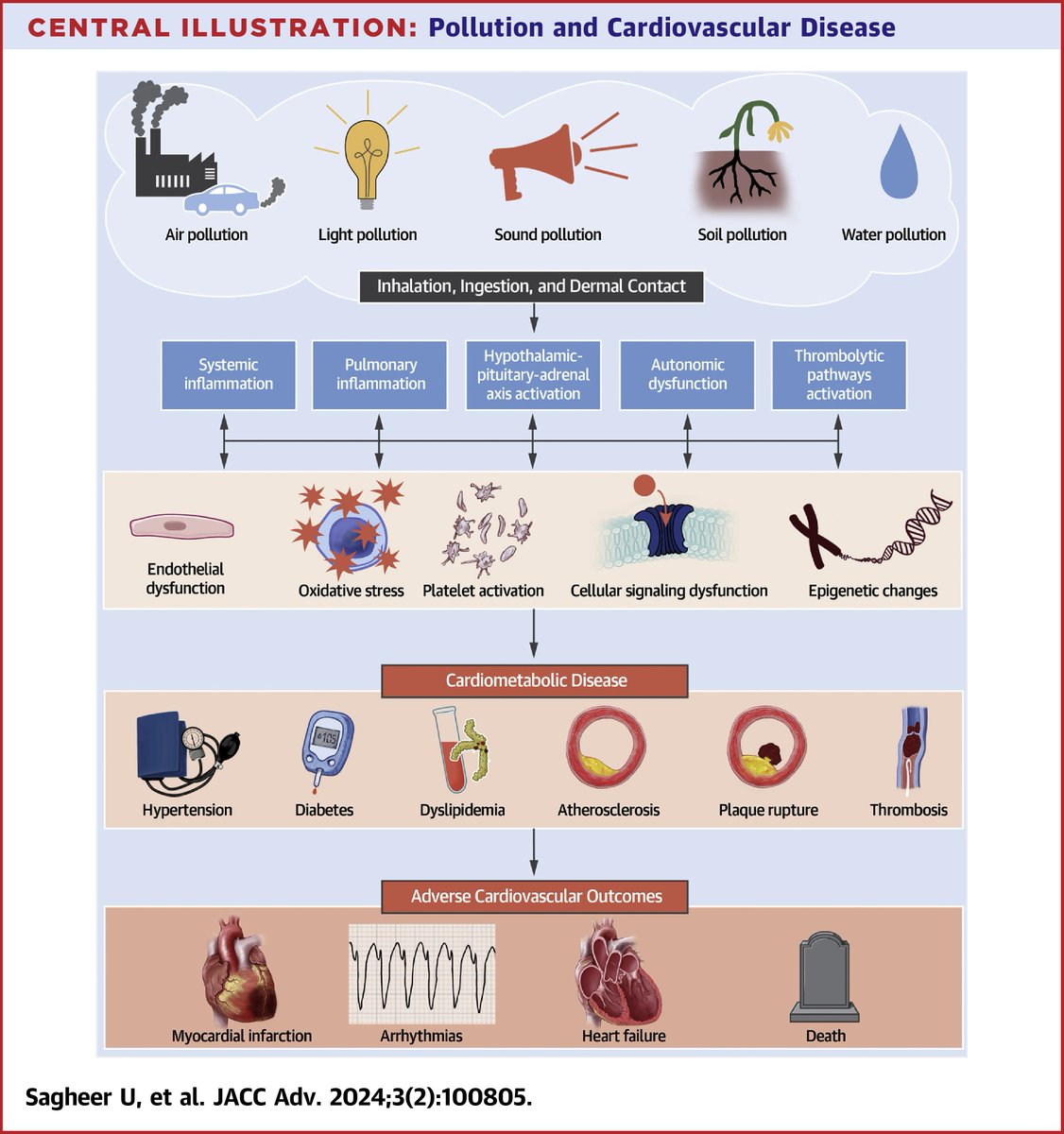 Learn more about environmental #pollution and its impact on #CVD health in #JACCAdvances' 2-part state-of-the-art series: Pt 1: bit.ly/3V4wNal Pt 2: bit.ly/4c4B1Fc @usman_sagheer @DineshKalra @Sadeer_AlKindi @JamalRanaMD @DrMarthaGulati @ShadyAbohashem