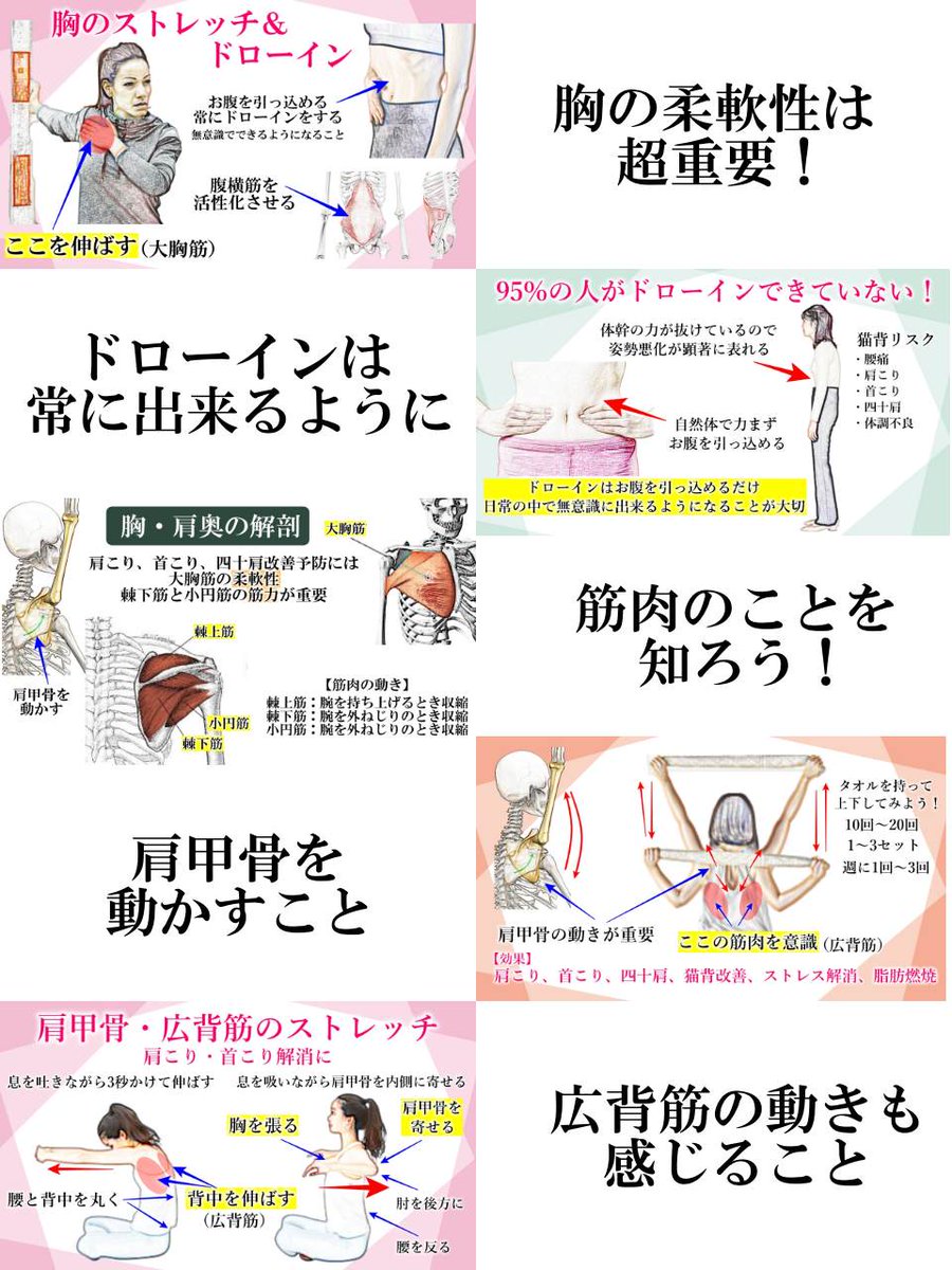 絶対に！絶対に！絶対にやった方がいいストレッチがあります。それは「胸（大胸筋）」のストレッチ。胸の筋肉が硬い人がマジで多い。やわやわになると『猫背や巻き肩の改善』『四十肩予防』『バストUP』につながる。肩こりや首こり、偏頭痛もなくなり、上半身がスッキリして楽になるよ。25年間ずっとや…