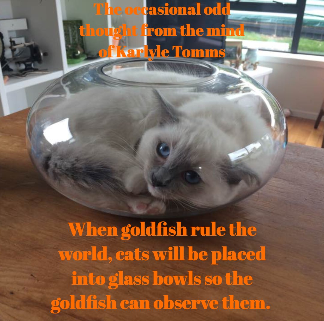 Goldfish Rule! Just saying. #humor #catlovers karlyletomms.com