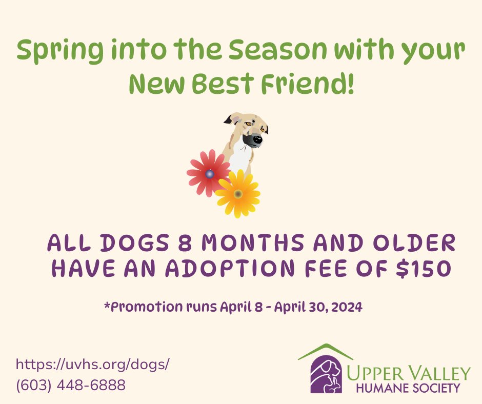 Let's help our dogs find their forever homes! 🐶
uvhs.org/dogs/
#promotion #dog #adoptashelterpet