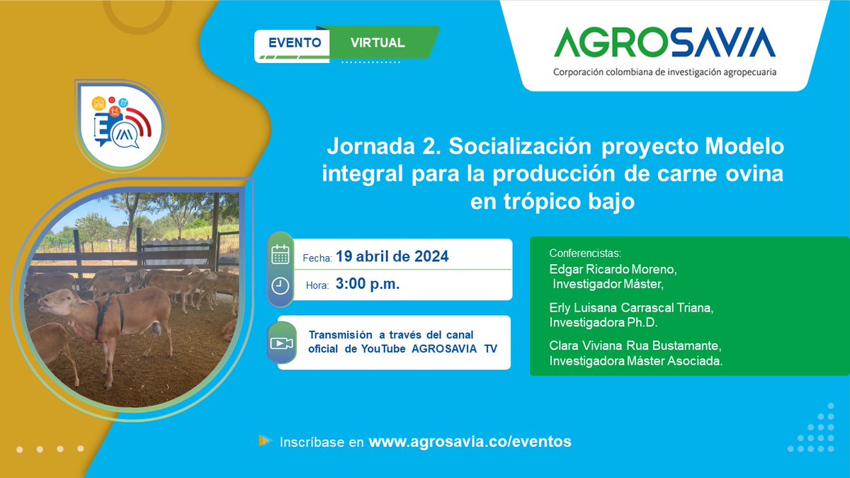 #Eventos2024 #Socialización #Jornada2
Proyecto Modelo Integral para la Producción de carne ovina en el trópico bajo.
🗓️ 19 de abril
🕒 3:00 p.m.
🔴 youtube.com/live/O-heEPF3t…