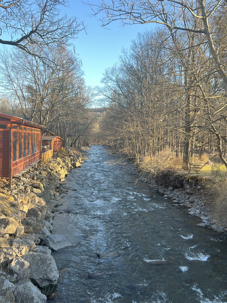 <a href="/obscuradao/">Obscura</a> <a href="/gillpedroso/">gill</a> <a href="/taiimazz/">taimazz🌸</a> <a href="/WimVanCappellen/">Worldfamousphotographer.eth</a> Thank you for the space to share!

@PuchesPics <a href="/ce_joiner/">Casey Joiner</a> <a href="/BradleyMoonNFT/">Bradley Moon</a>