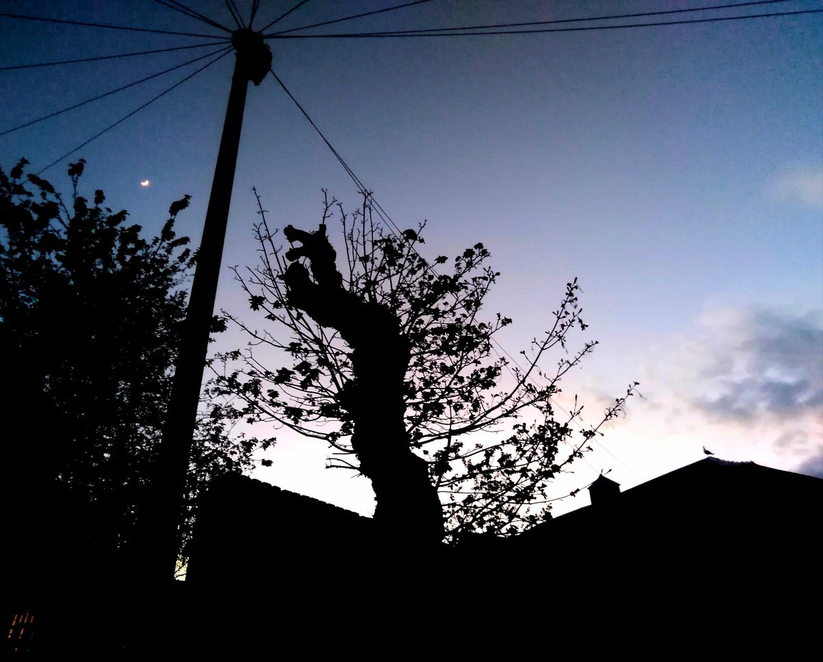 Crescent Moon at Sunset
#FridayNight #moon #NaturePhotography
#NatureBeauty
#SunsetViews