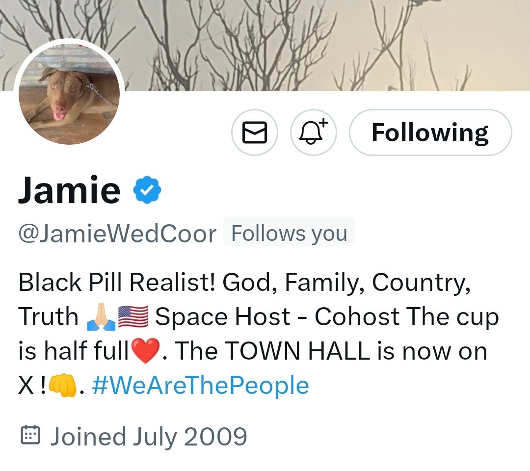 Meet @JamieWedCoor one of the outstanding #WomenWarriors from #AmericanXLive 

Her research & deep dives into what's facing our country today is unparalleled.  Find her Monday - Friday during #WeAreThePeople to learn more about this American First Patriot 🇺🇸🦅⬇️