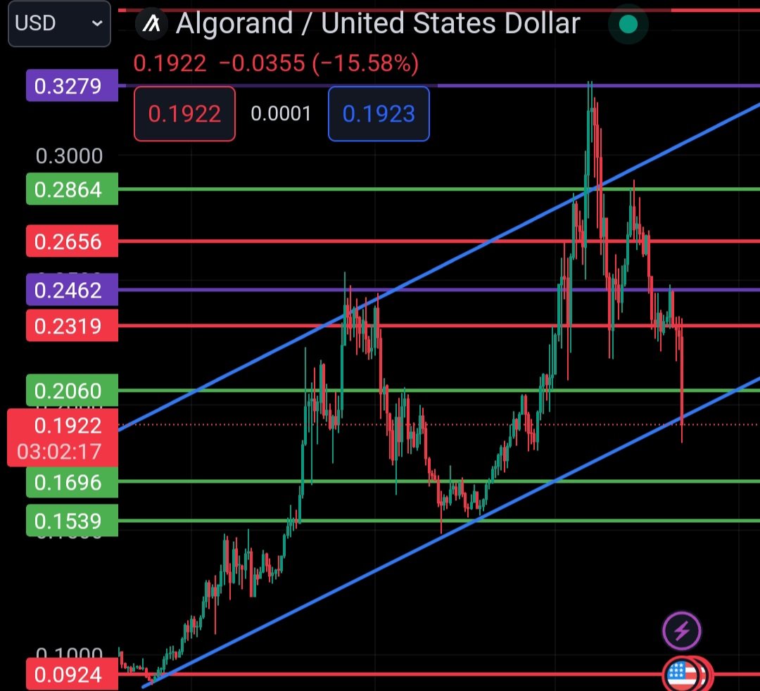 1 W & 1 D $ALGO chart that I published 5 weeks ago! It is still in the channel. Only be concerned if we close below the trend. Personally, until then, it's just pre-halving behavior. Markets flush waste every now and then!

#cryptotrading #Cryptocurency #Algorand