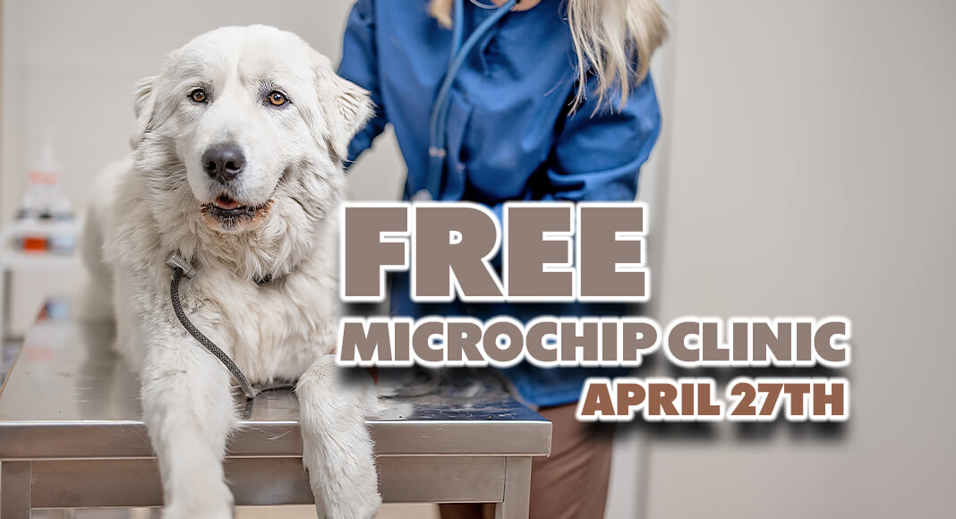 City of McAllen, PVAS Free Microchip Clinic, April 27th texasborderbusiness.com/city-of-mcalle…