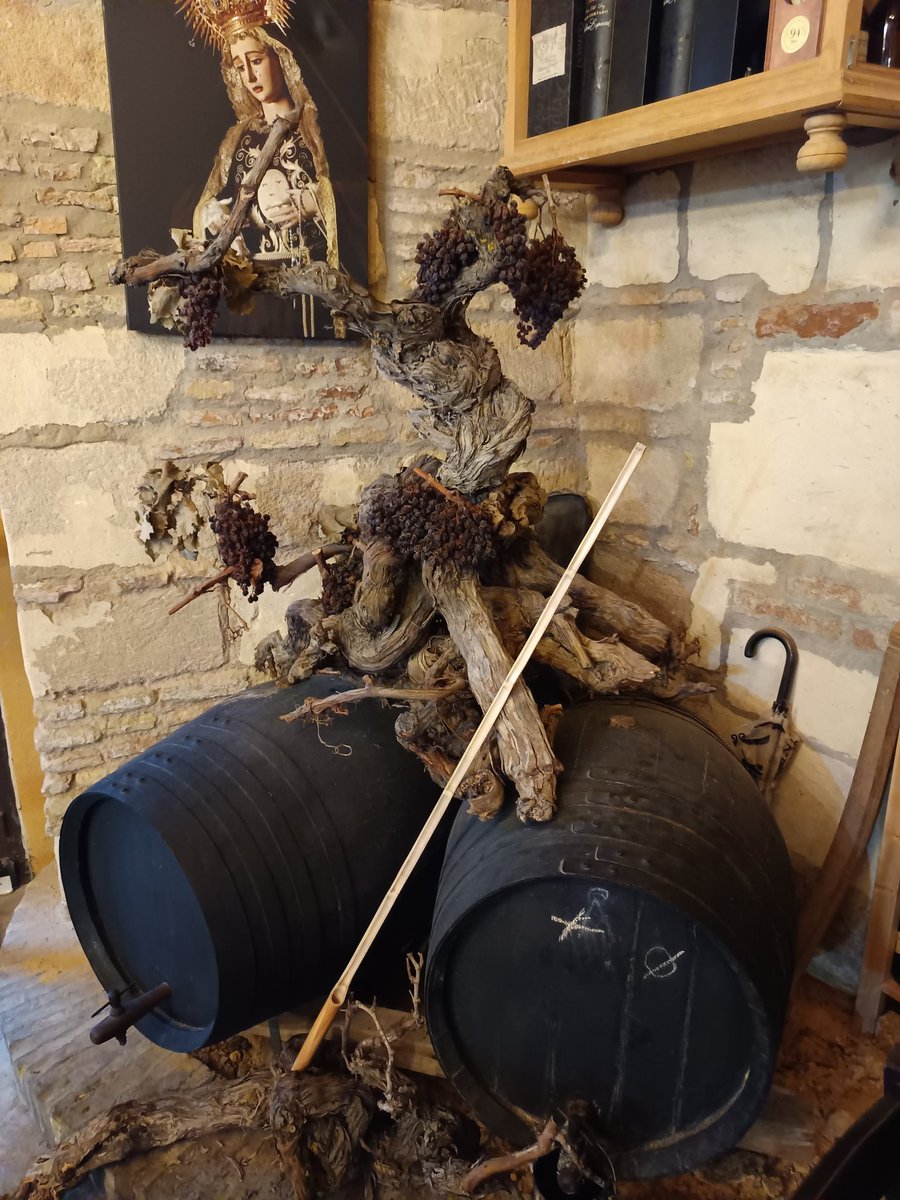 mencitajerez's tweet photo. Jerez. #Tabancos #Amontillao #Amontillate #Sherrywine #Sherrywoman #esencia https://t.co/22ltAIoJbO