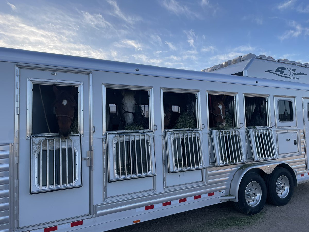 70thRCO's tweet image. ALLONS! Headed to the stables early this beautiful Mojave morning to send off our HCD as they start the trek to the Regional Competition in TX. Some carrots for the horses and cookies for the Troopers. Good luck and go show them THE FINEST IN THE LAND! @11ArmoredCavReg