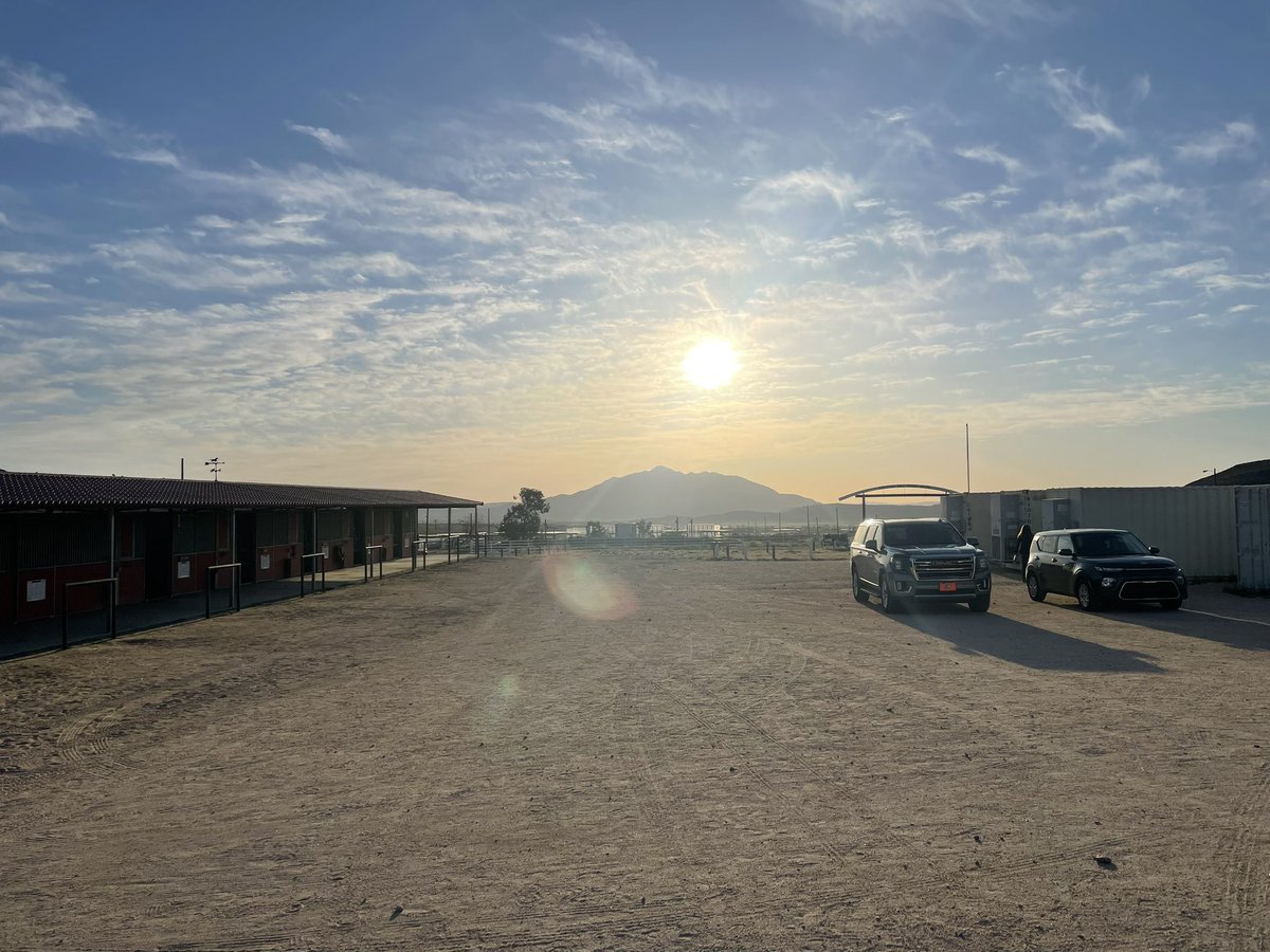 70thRCO's tweet image. ALLONS! Headed to the stables early this beautiful Mojave morning to send off our HCD as they start the trek to the Regional Competition in TX. Some carrots for the horses and cookies for the Troopers. Good luck and go show them THE FINEST IN THE LAND! @11ArmoredCavReg