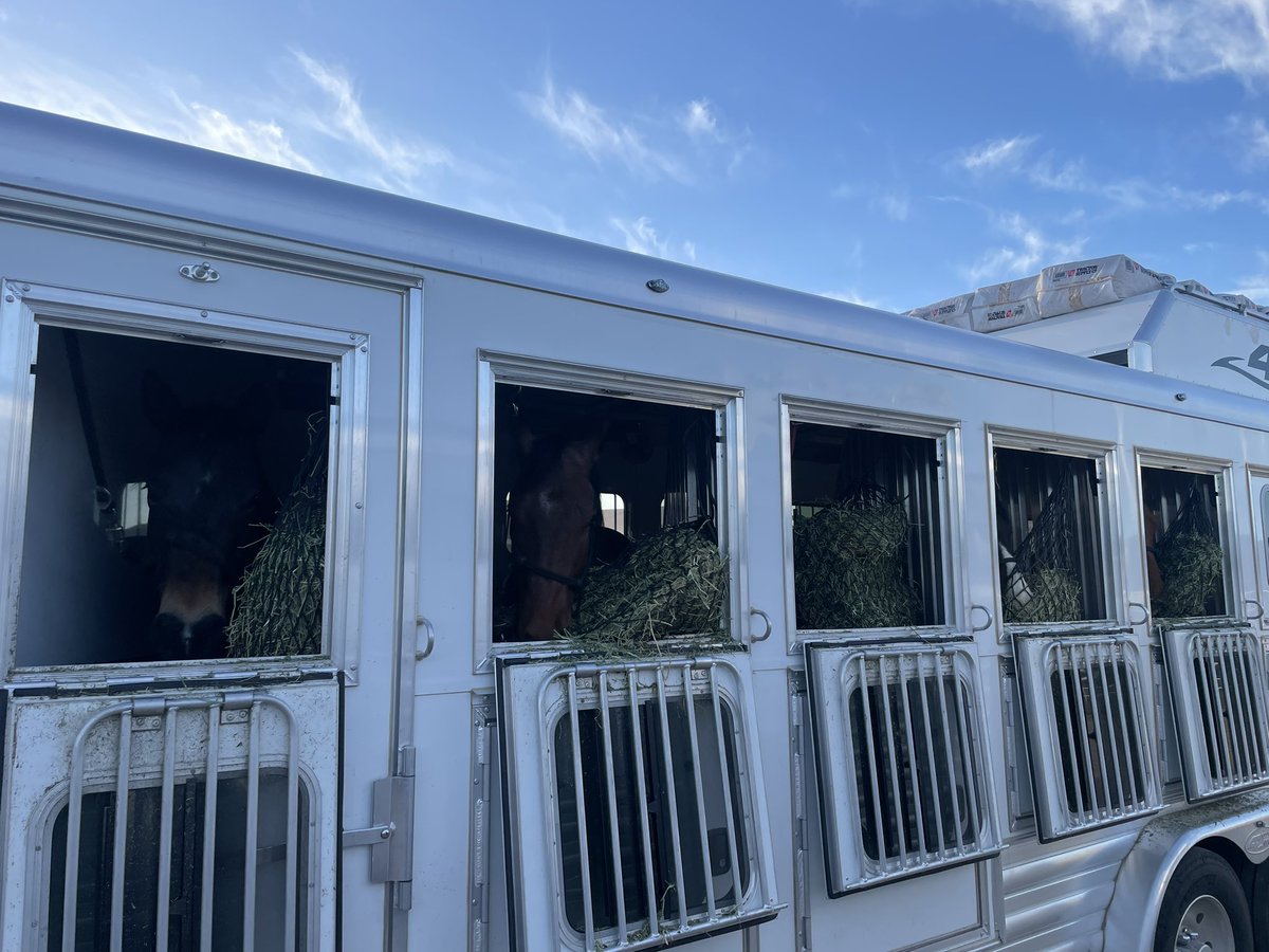 70thRCO's tweet image. ALLONS! Headed to the stables early this beautiful Mojave morning to send off our HCD as they start the trek to the Regional Competition in TX. Some carrots for the horses and cookies for the Troopers. Good luck and go show them THE FINEST IN THE LAND! @11ArmoredCavReg