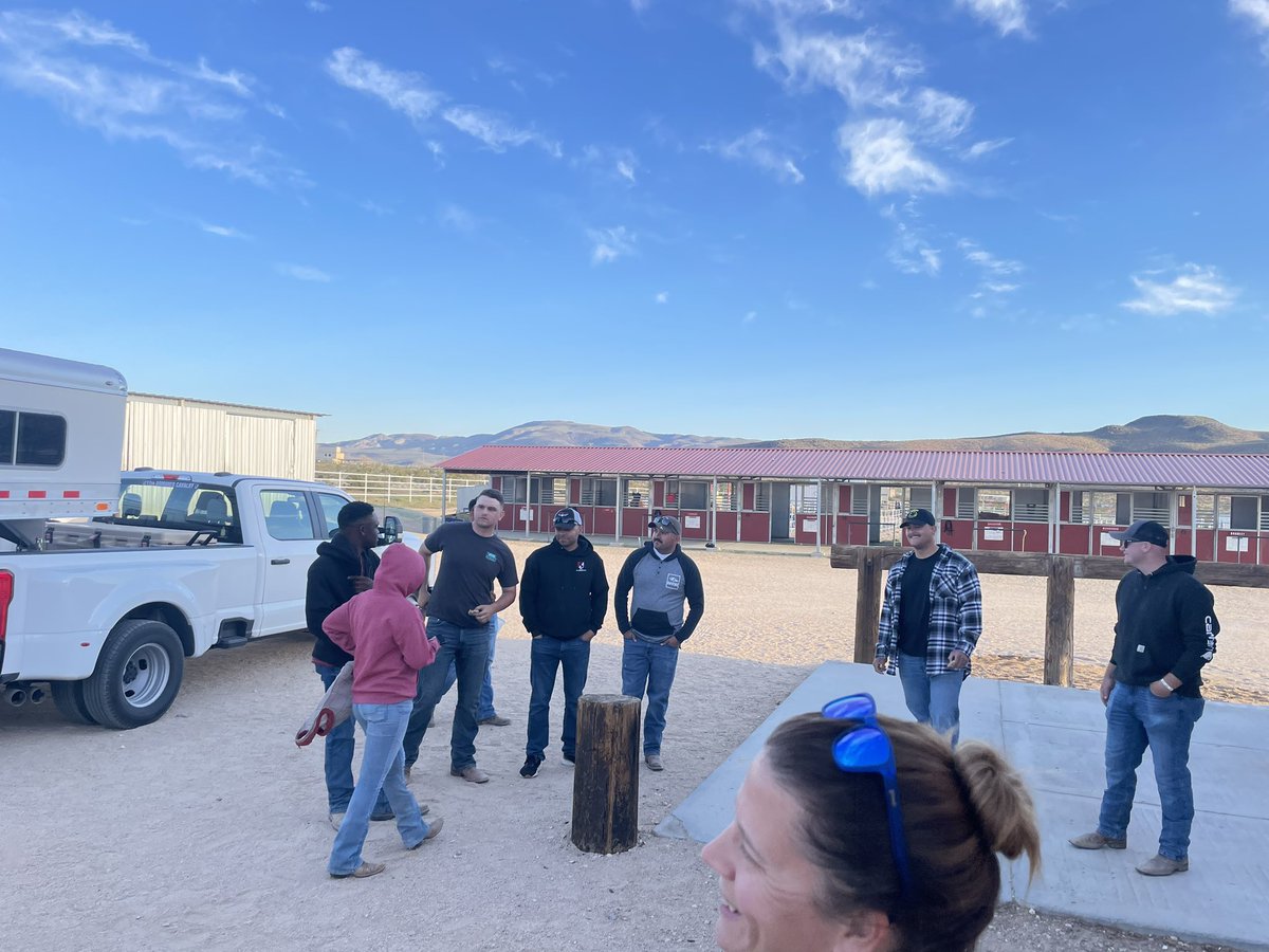 70thRCO's tweet image. ALLONS! Headed to the stables early this beautiful Mojave morning to send off our HCD as they start the trek to the Regional Competition in TX. Some carrots for the horses and cookies for the Troopers. Good luck and go show them THE FINEST IN THE LAND! @11ArmoredCavReg
