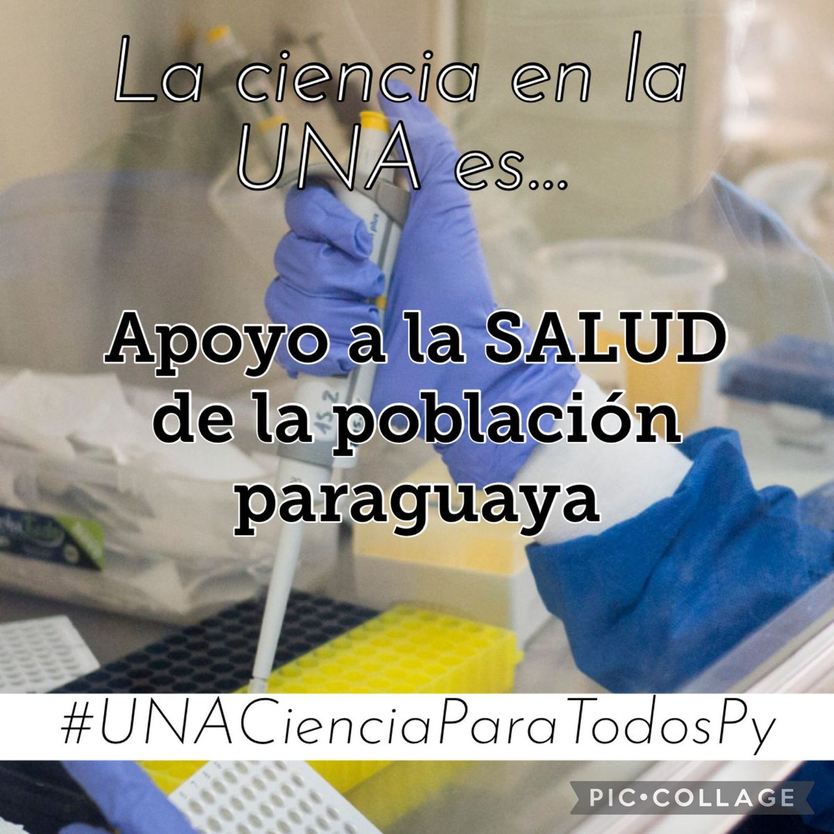 FlorenciadelPu2's tweet photo. #UNACienciaParaTodosPy
@LuisBareiro @menchibarriocan @diegomarini @ABCCardinal @ABCDigital https://t.co/36dKsJfXTo