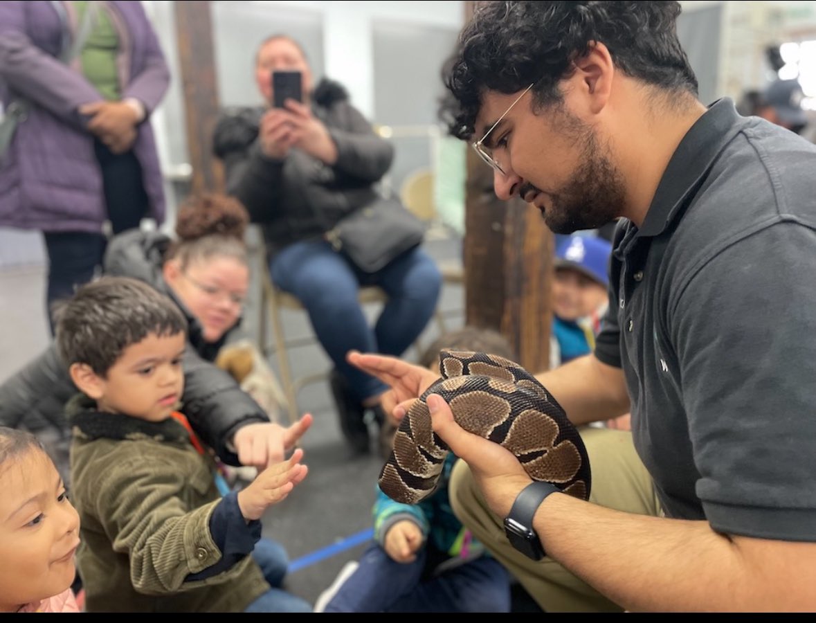 Q369 3K students fed the farm animals at the Queens Zoo. They met a python and chinchilla up close in the zoo education center. @DOEChancellor @EDSSOofD24 @NYC_District24 @NYCSchools @NYCBrightStarts