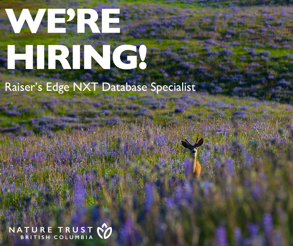 Job Alert 📣🌿 We are #hiring a Raiser's Edge Database Specialist to join our team! We're looking for a Raiser’s Edge NXT expert who will use their experience to help guide us through the optimization phase of our NXT roll out. Learn more & apply 🌱 bit.ly/4awXsl7