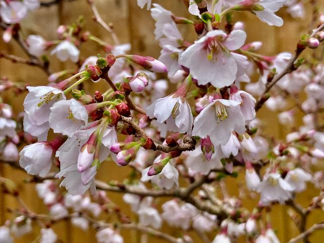 <a href="/bng2617/">🐝 🍀 FOV 🍀🐝</a> Nice to see you too dear🎼✨🫶
may your weekend be fabulous!☀️🤍🐝🦋
thank you🫶🎼