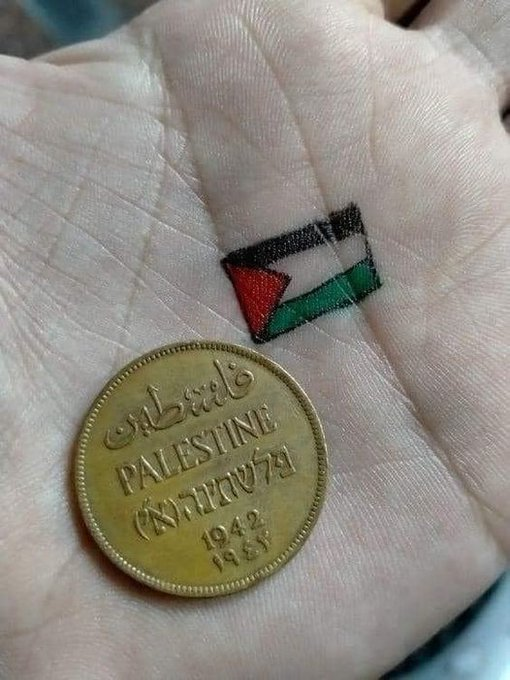 From Palestine, authentic🇵🇸