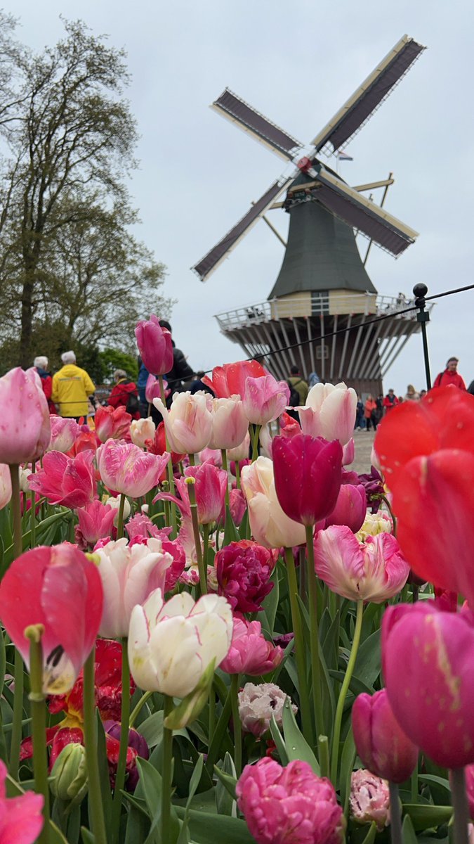 محمد البريكـــــي tweet media