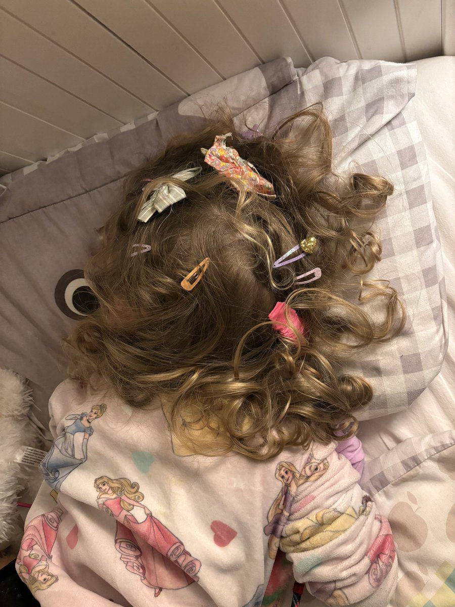 My daughter going for the Guinness world record of “most slides in hair”