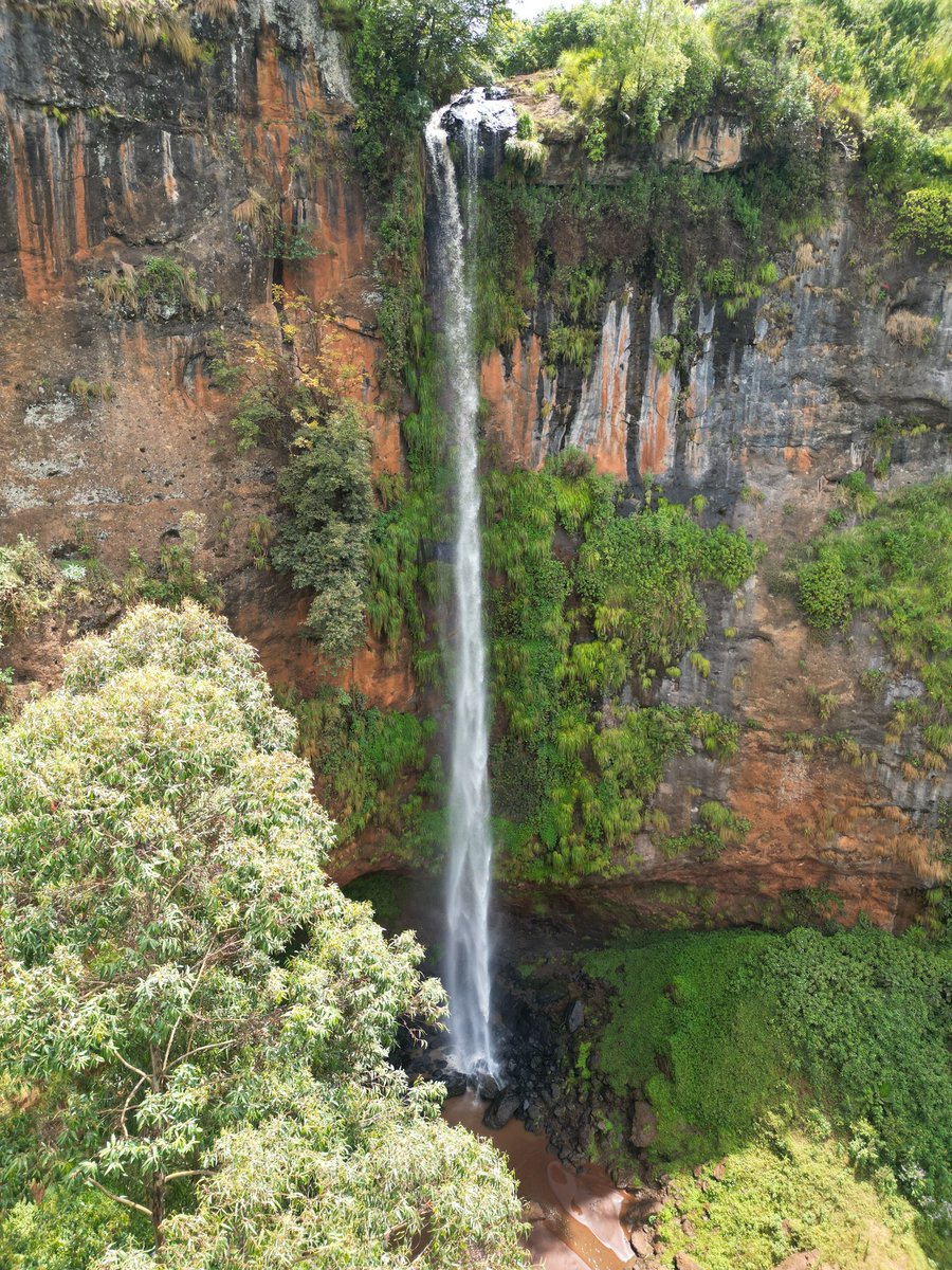 The hidden fact about Mount Elgon: It's the Land of a thousand waterfalls, Could it be true?

Let's tweet what you captured!

@ExploreUganda #ExploreUganda #ExploreMore #TravelWithPoul