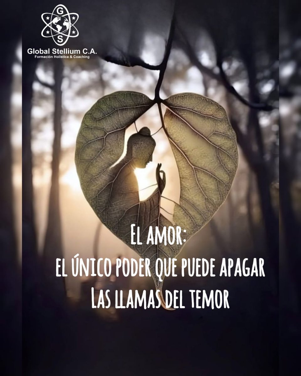 Néstor Fernández tweet media