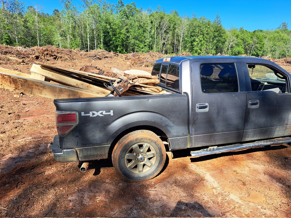 I understand people giving white men a hard time. Collectively, we've earned it. I understand ridiculing men who drive big 4WD pickups to church and the supermarket. As a forester and farmer w/ a 1/4 million work miles on my truck, I ain't bothered. No Snowflake here.