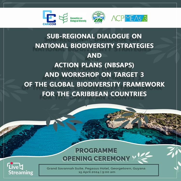 #SAVETHEDATE 🌊Opening Ceremony of the Sub-Regional Dialogue on National Biodiversity Strategies and Action Plans and Workshop on Target 3 of the Global Biodiversity Framework for the Caribbean Countries 📅 15th Apr 2024 ⏰ 9:00 AM AST 💻Join us live on our social media platforms
