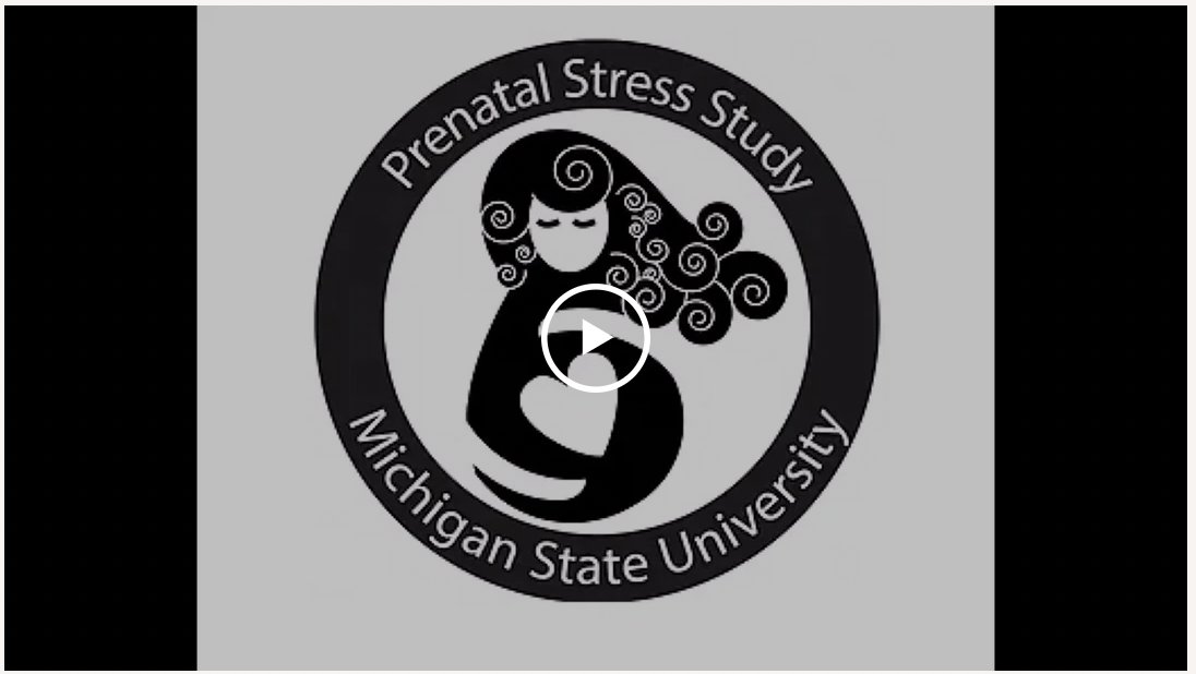 The Prenatal Stress Study at Michigan State University is seeking a full time Research Technologist isdp.org/2024/04/12/the… via @devpsybio