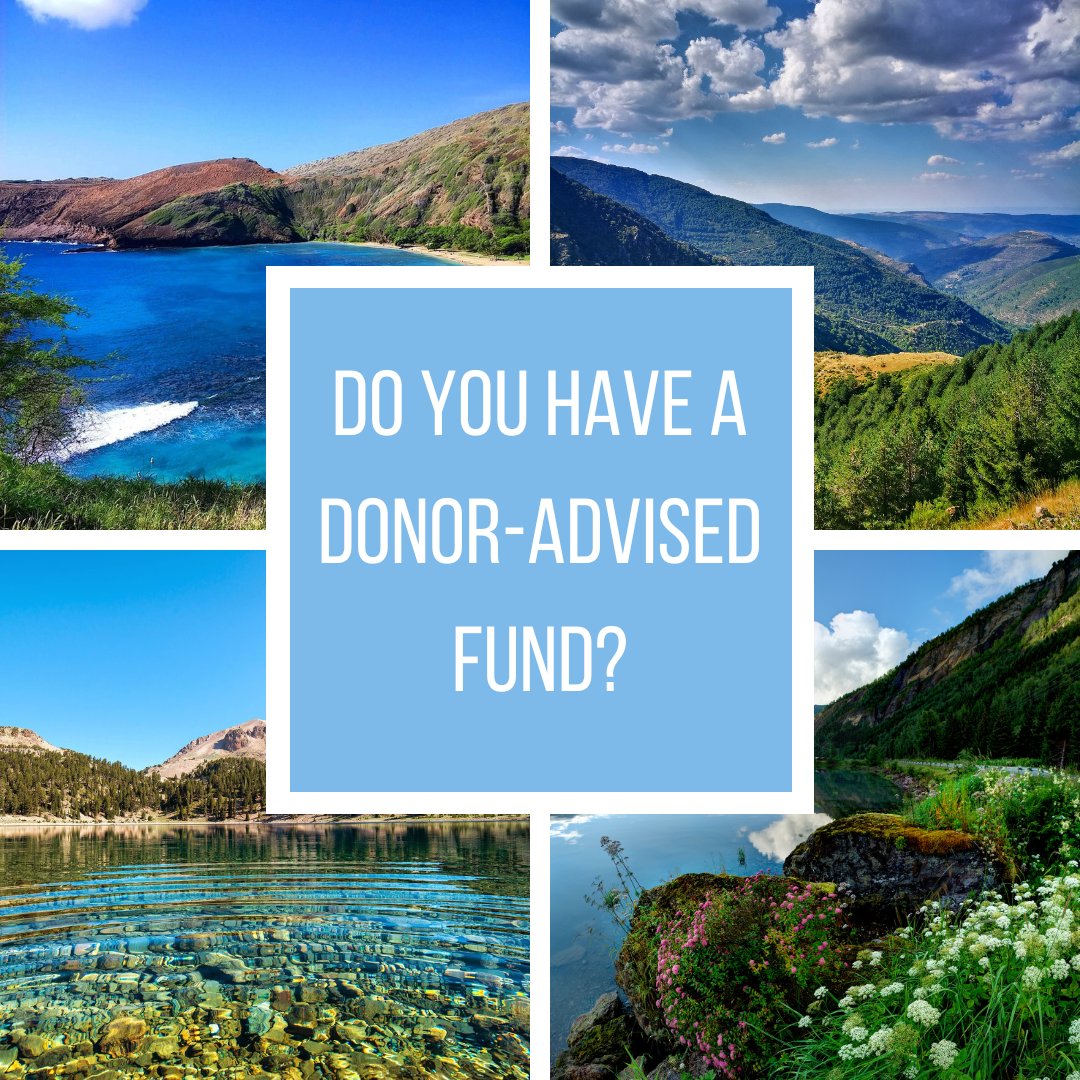 Do you have a Donor-Advised Fund? If you make a grant to Community Conservation & commit to spending down half the money in your DAF by September 27, we'll be eligible for up to $25,000 in matching funds. Details at halfmydaf.com


#donoradvisedfund #conservation
