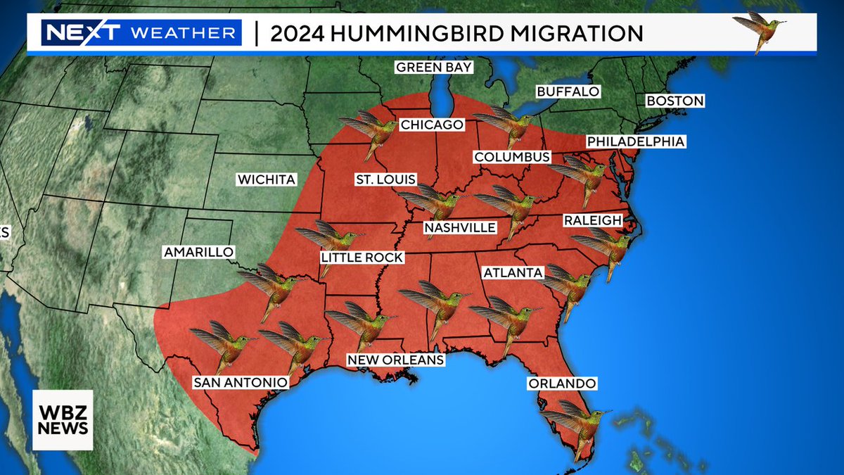 In better news, almost time to put the hummingbird feeders out. They've made it as far north as New Jersey. #wbz #BirdNerds